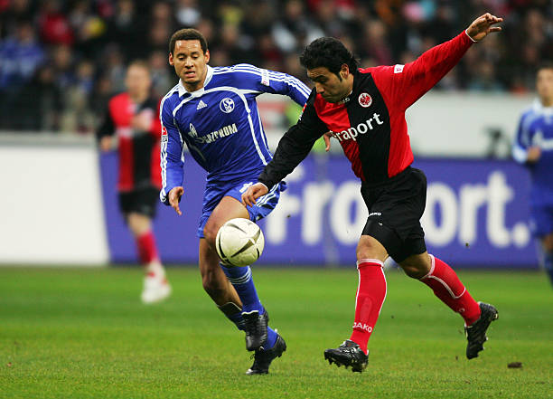 离不开他在 离不开他在